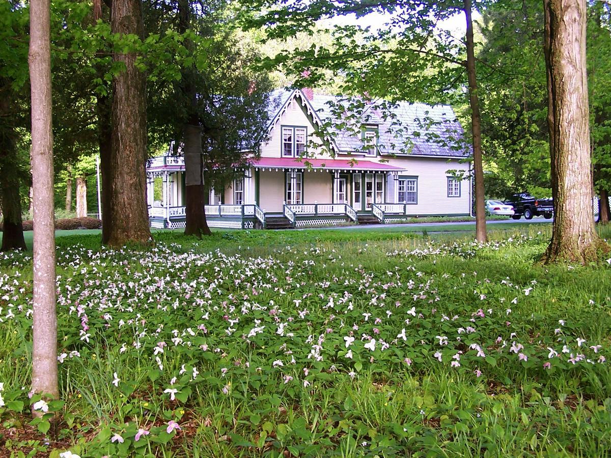 Dreamhouse Country Inn Bristol Kültér fotó
